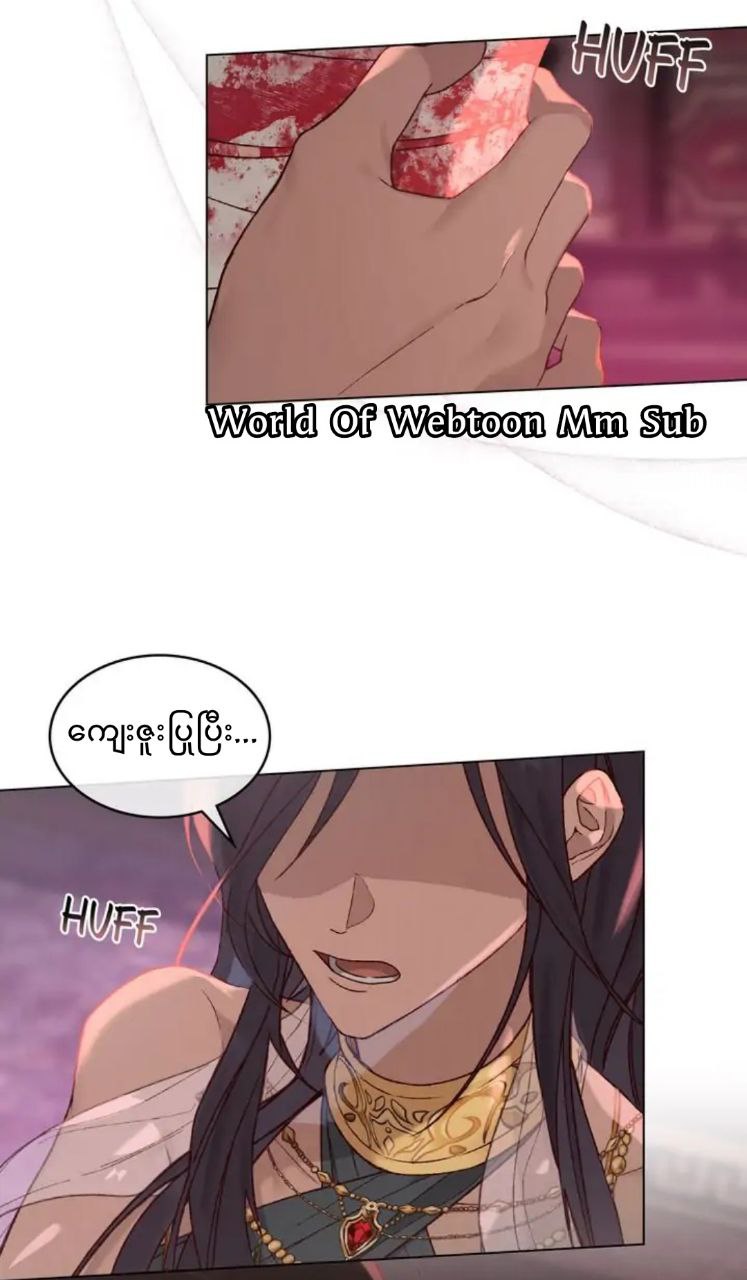 Content Image