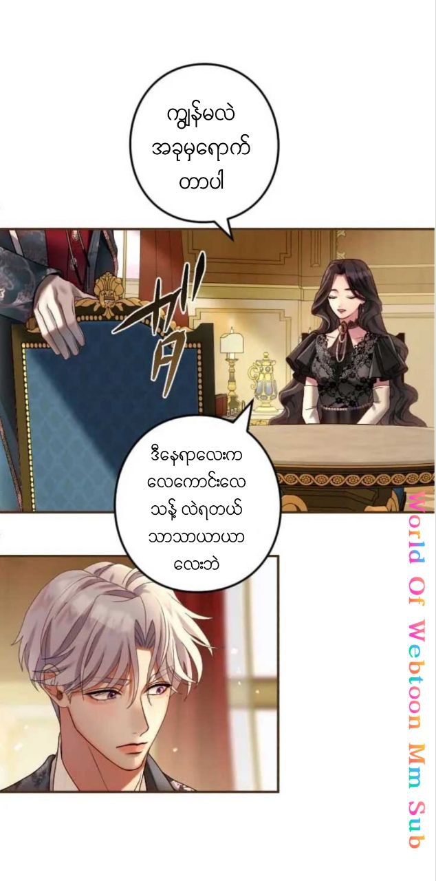 Content Image
