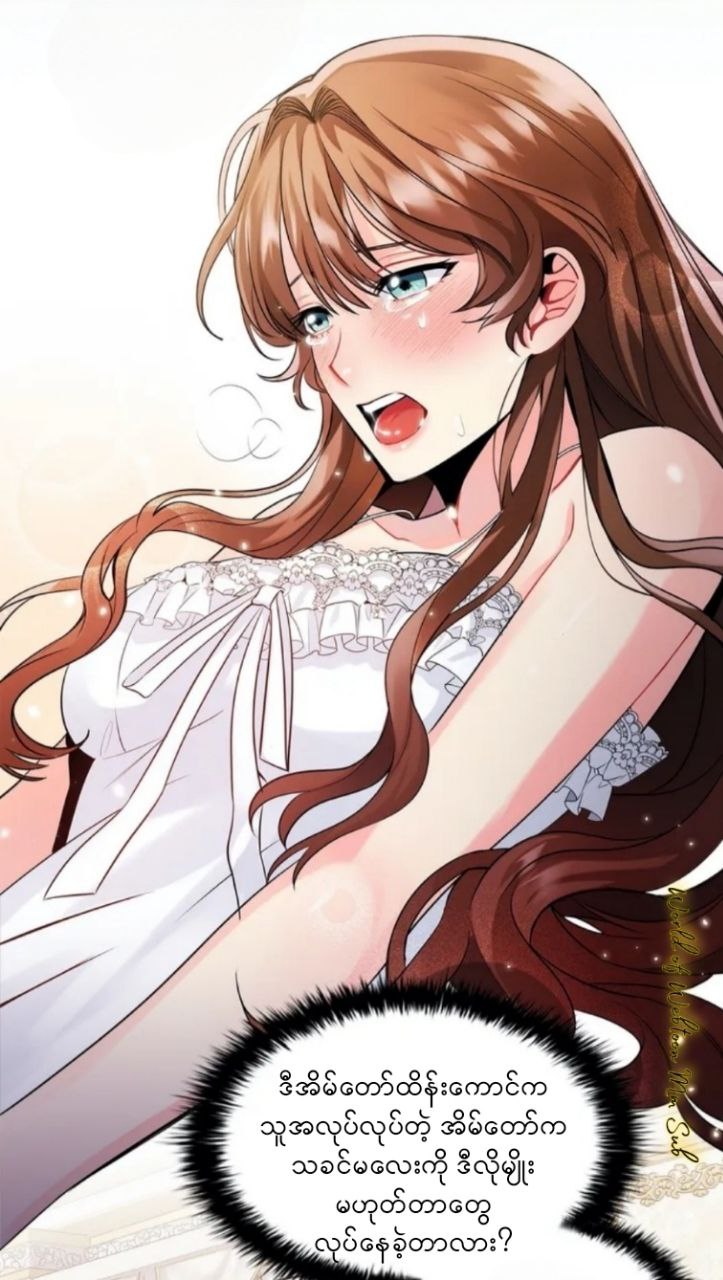 Content Image