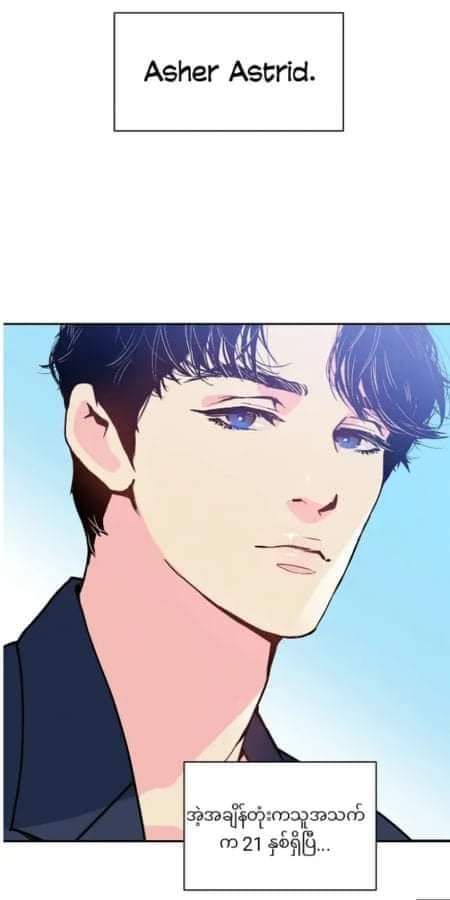 Content Image
