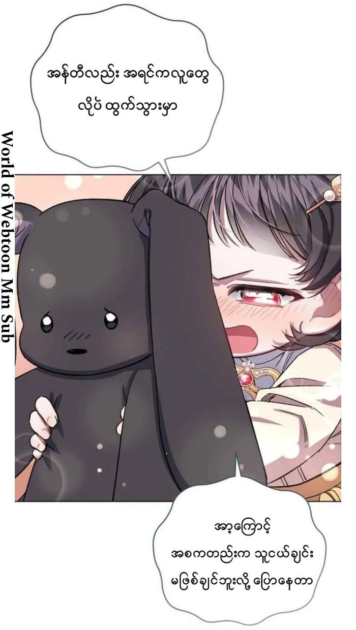 Content Image