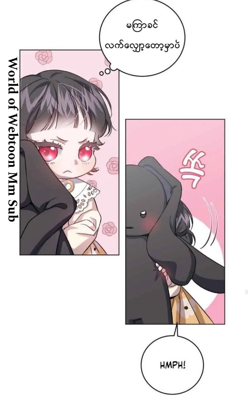 Content Image