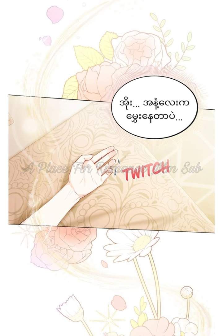 Content Image