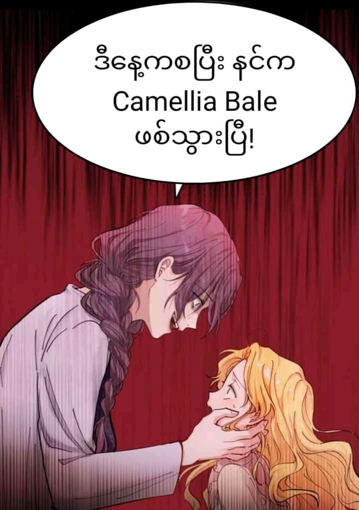 Content Image