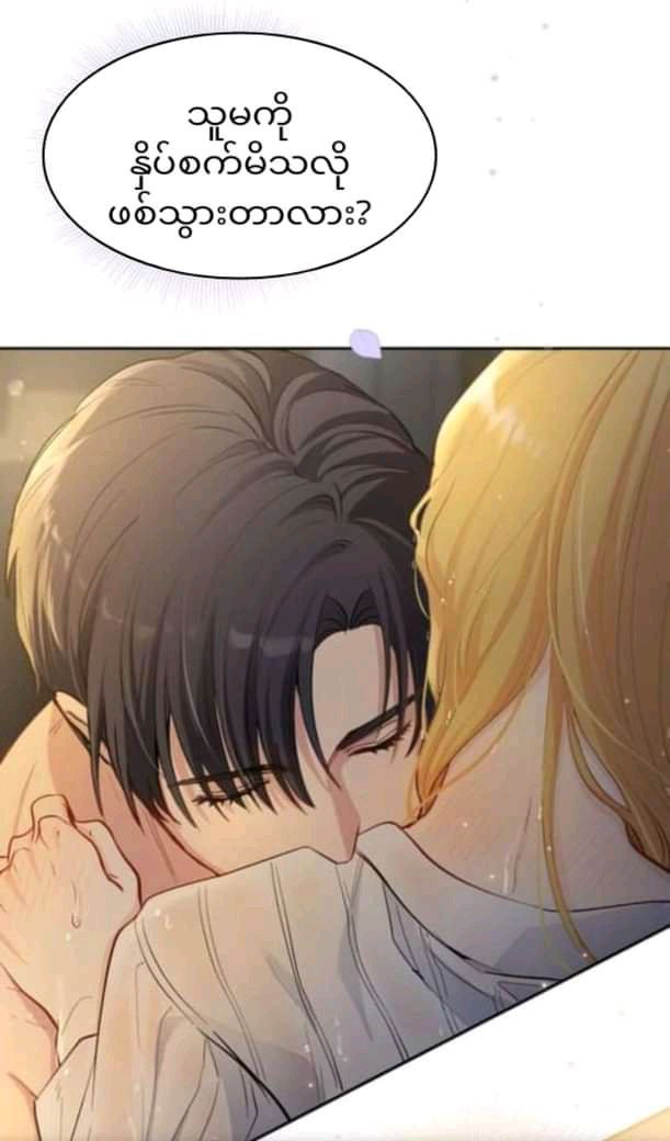 Content Image