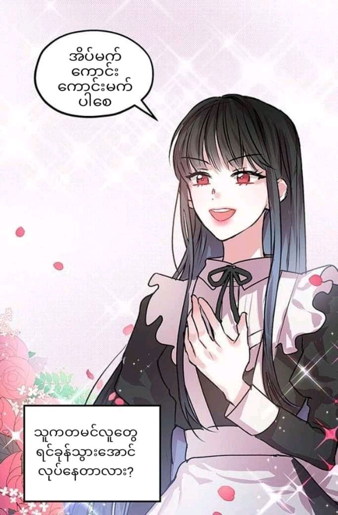 Content Image
