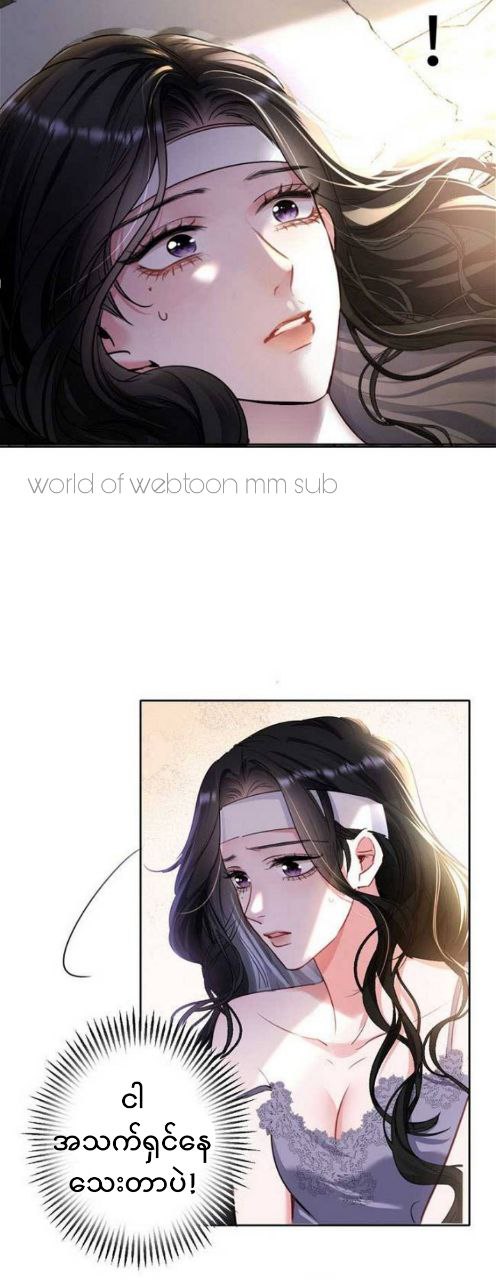 Content Image