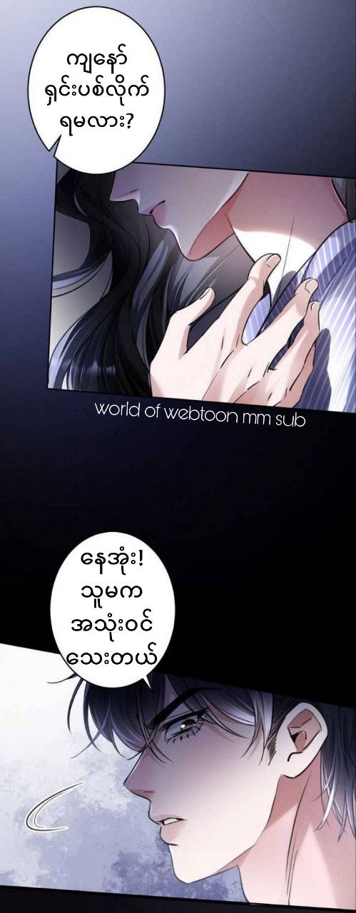 Content Image