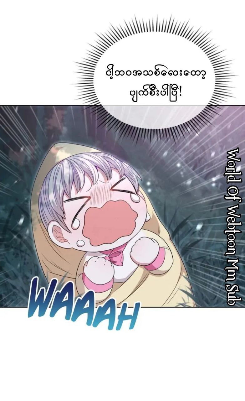 Content Image