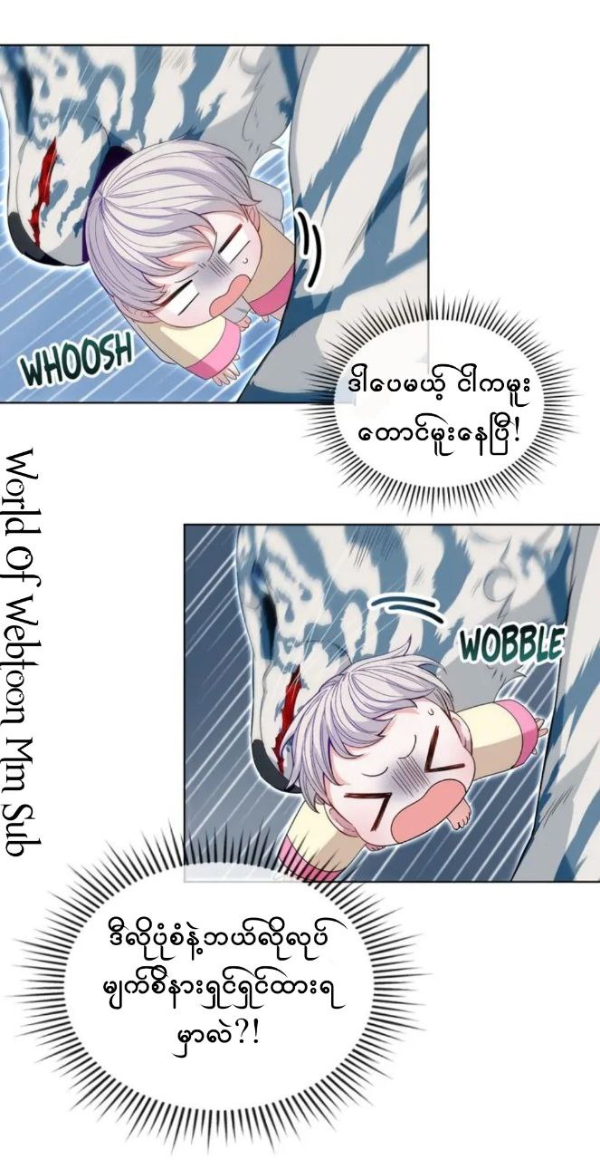 Content Image