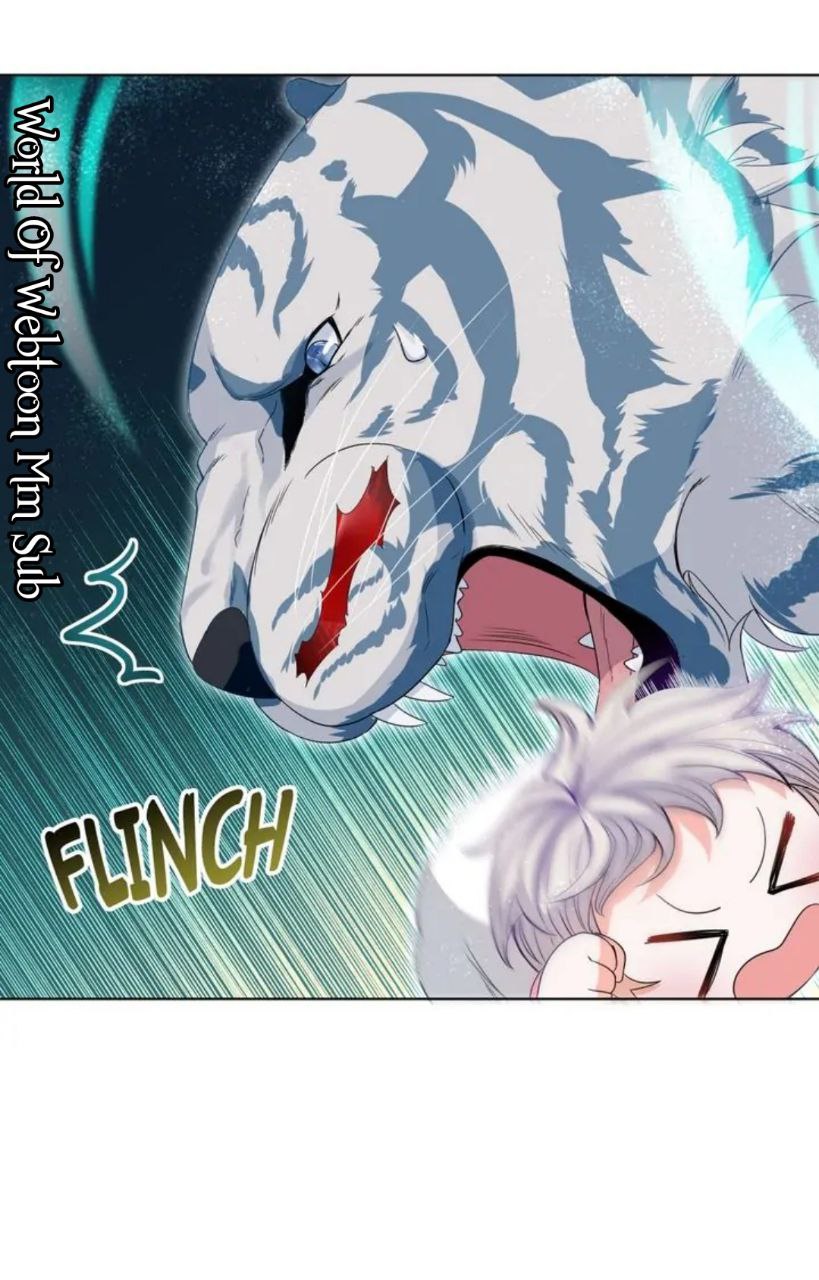 Content Image