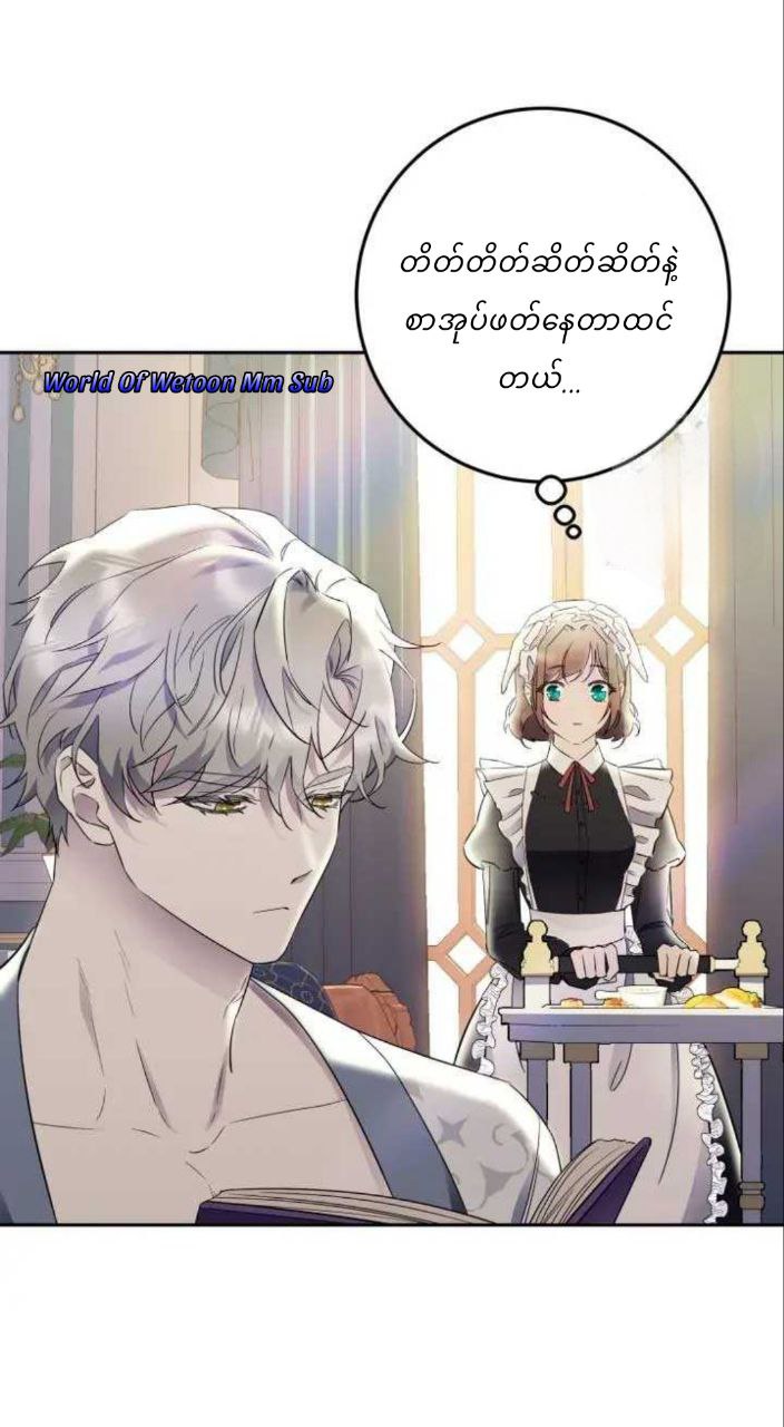 Content Image