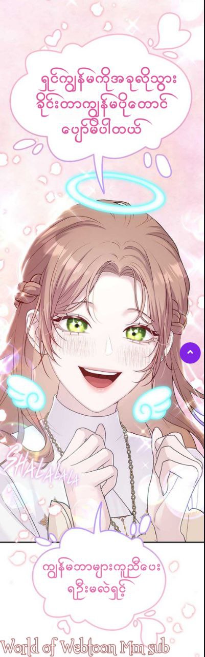 Content Image