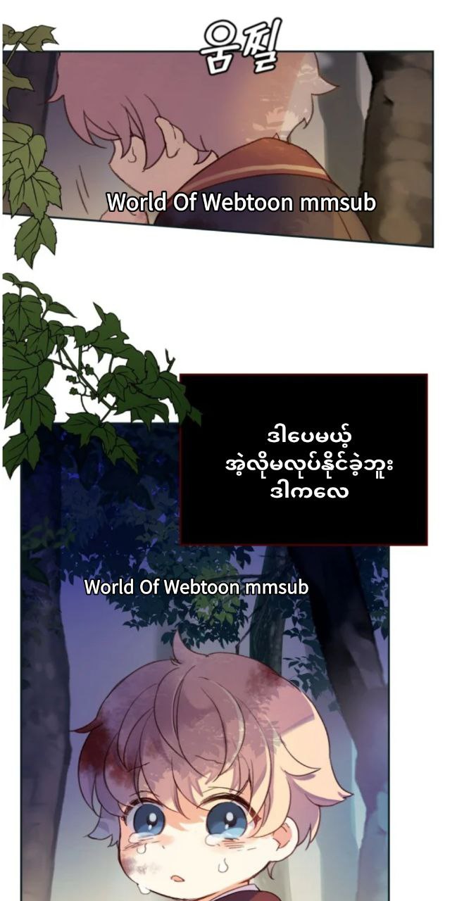 Content Image