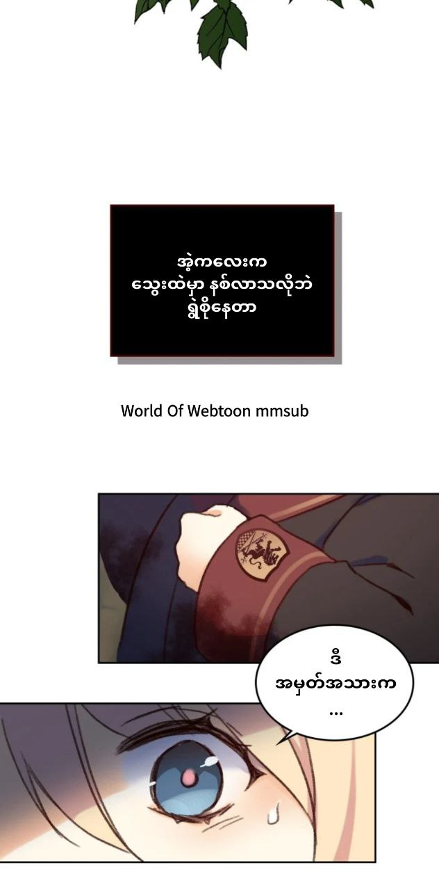 Content Image