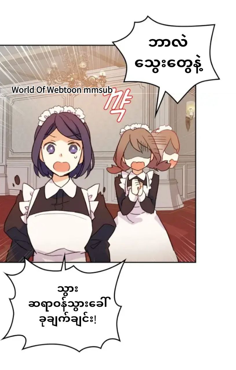 Content Image