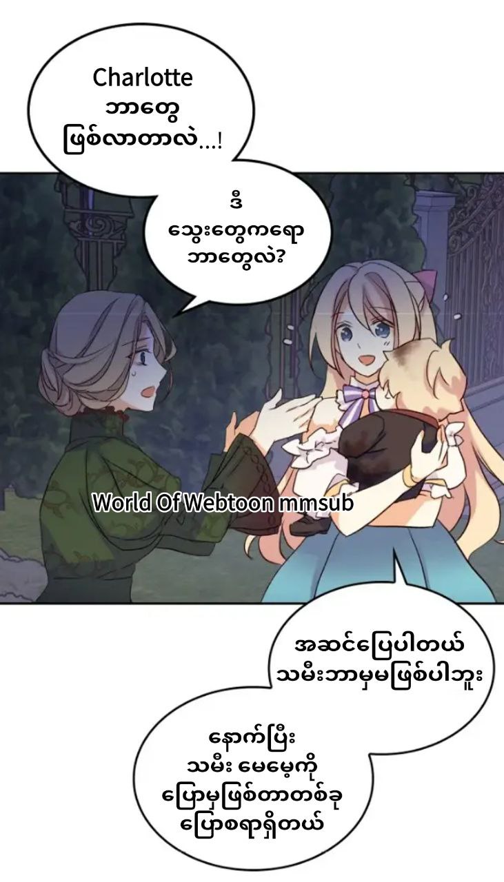 Content Image