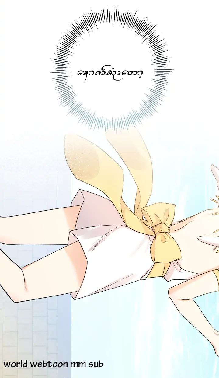 Content Image
