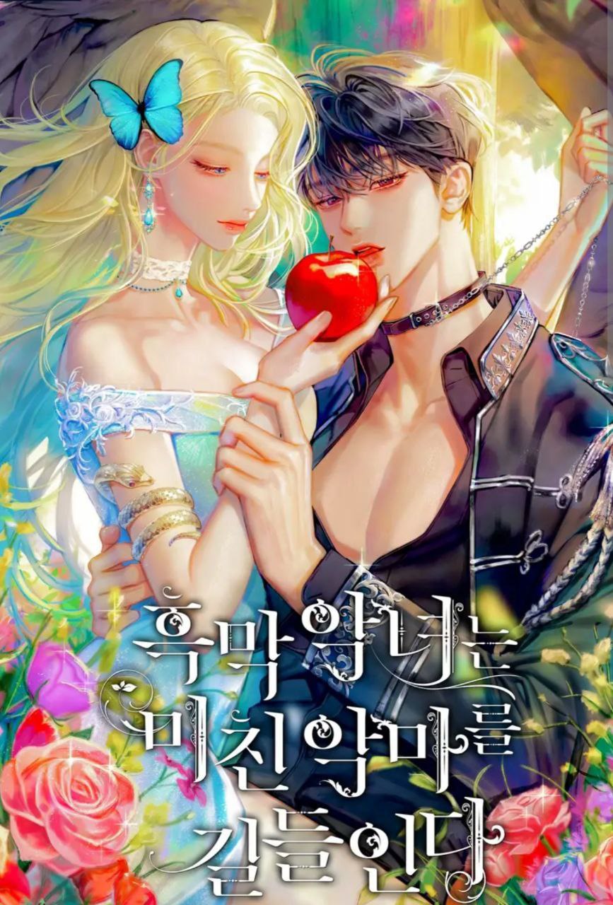 Content Image