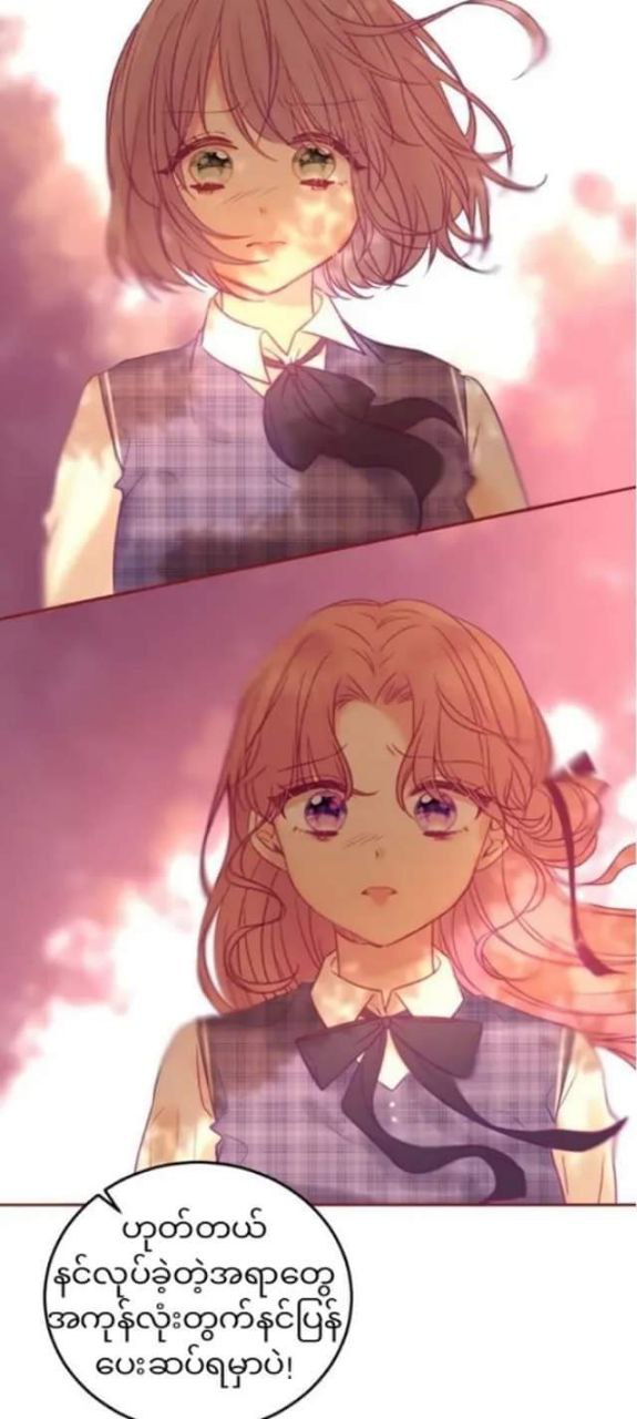 Content Image