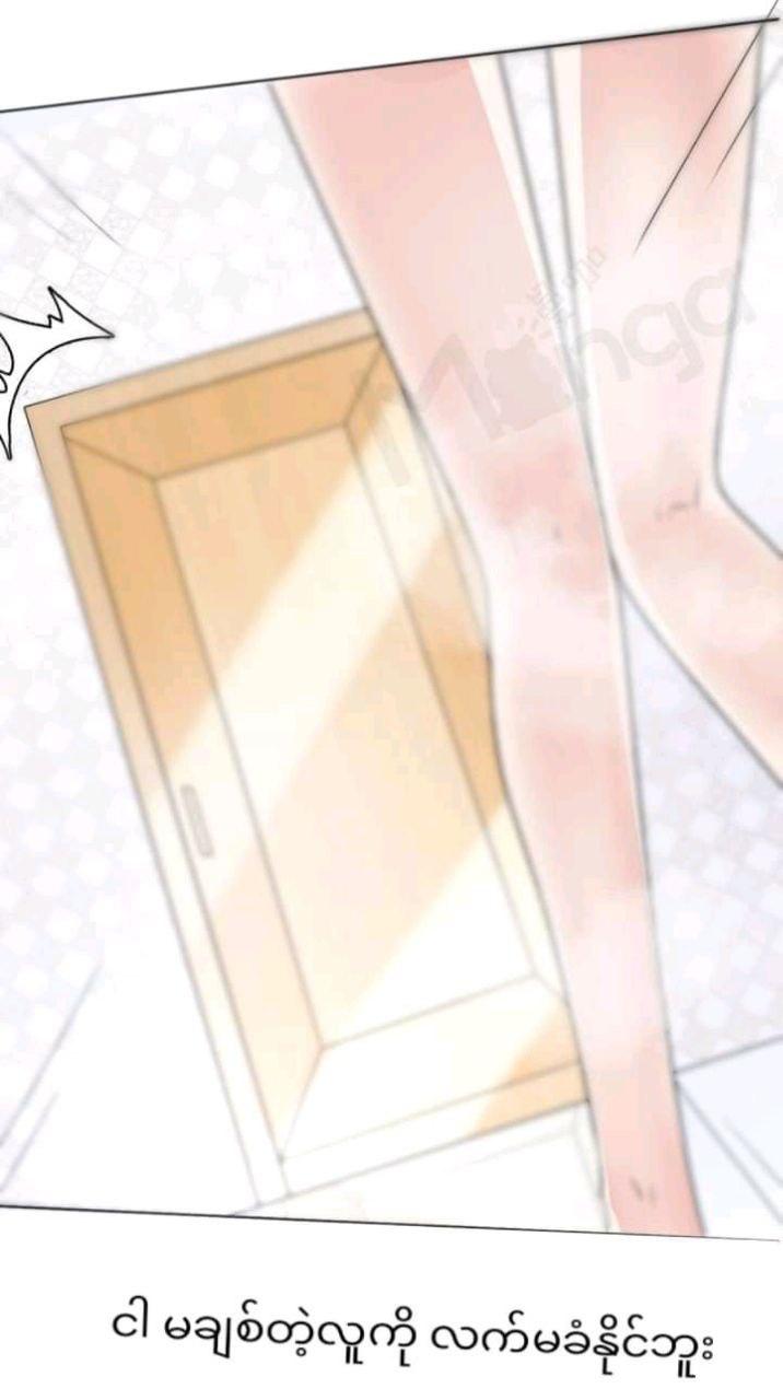 Content Image