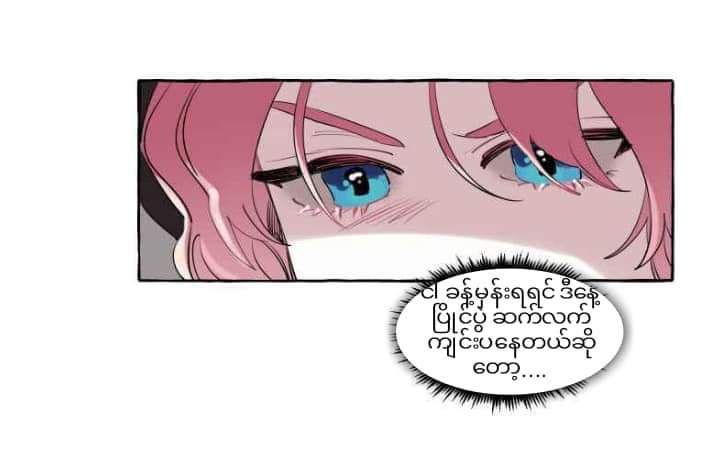 Content Image
