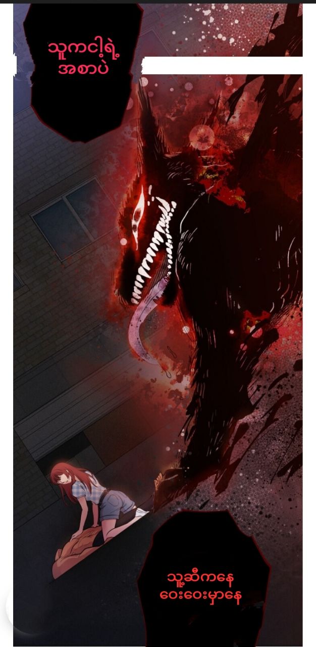 Content Image