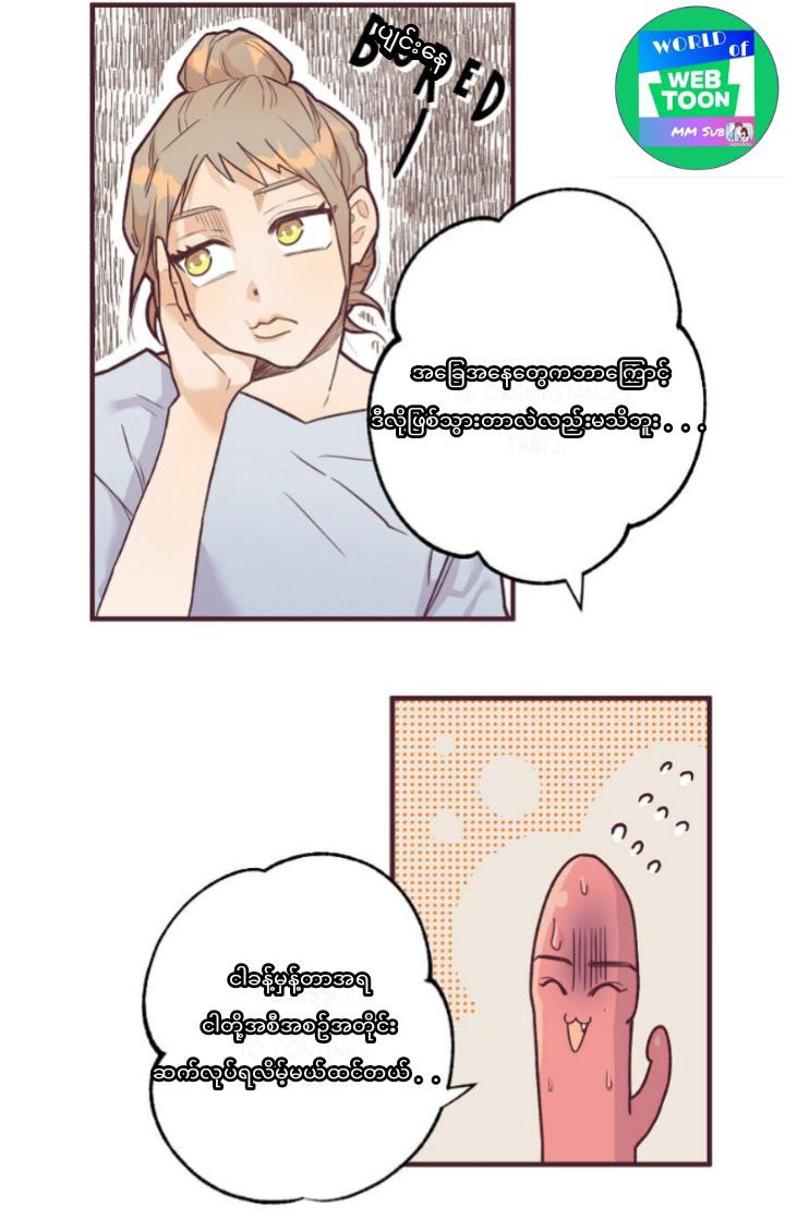Content Image