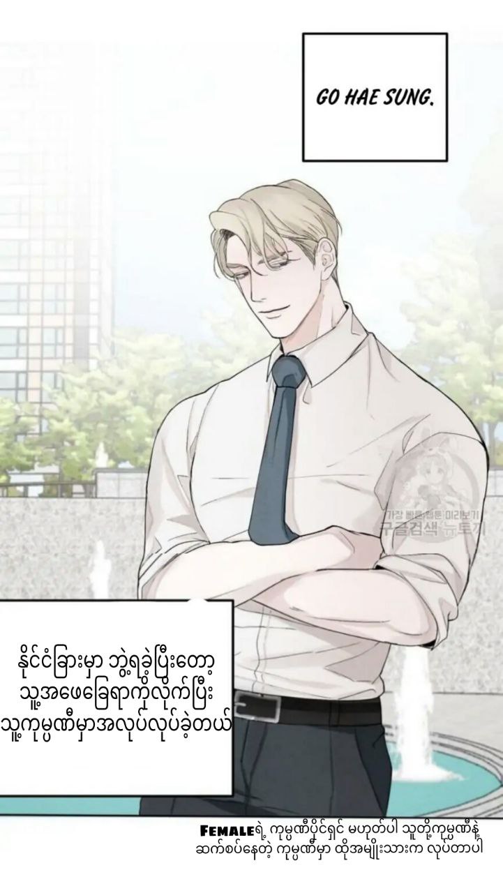 Content Image