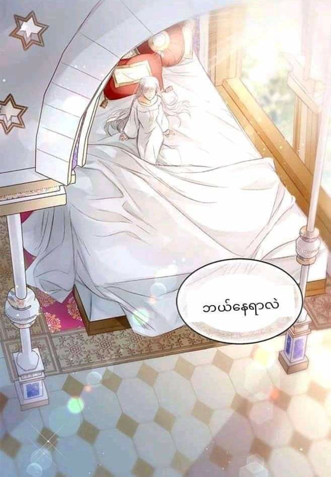 Content Image