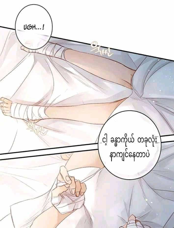 Content Image