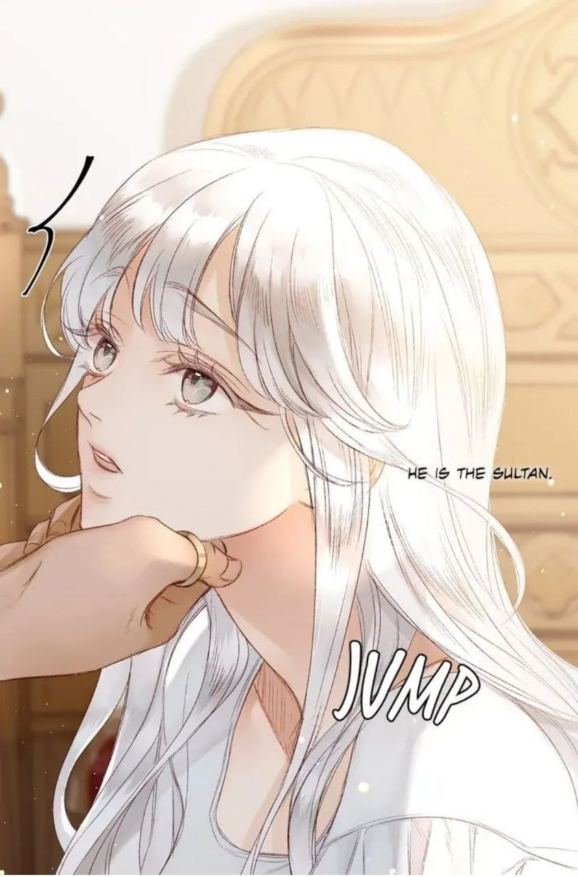 Content Image