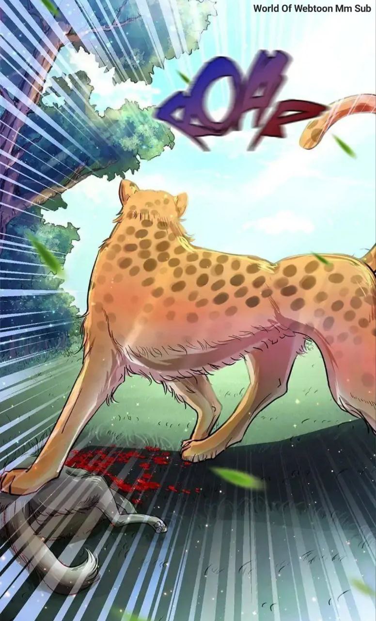 Content Image