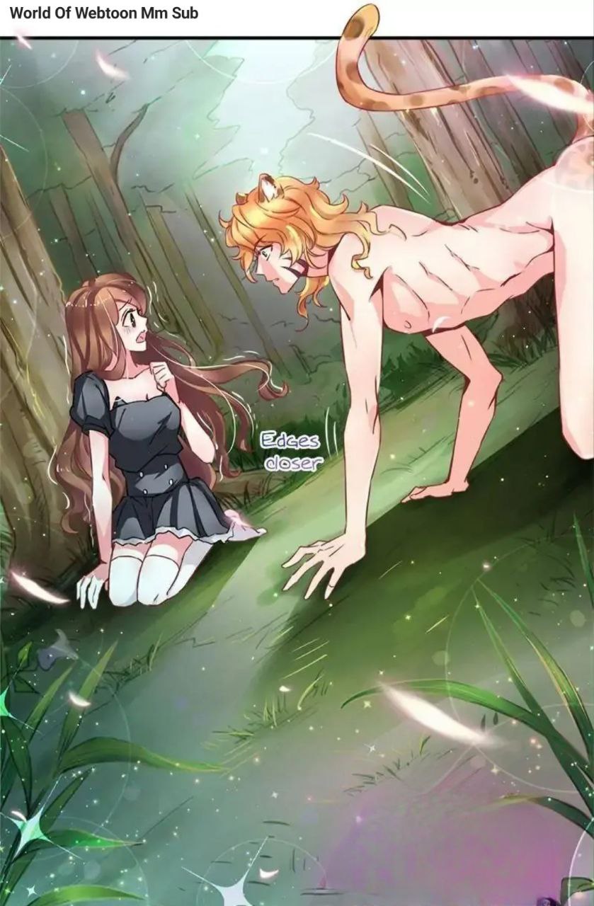 Content Image