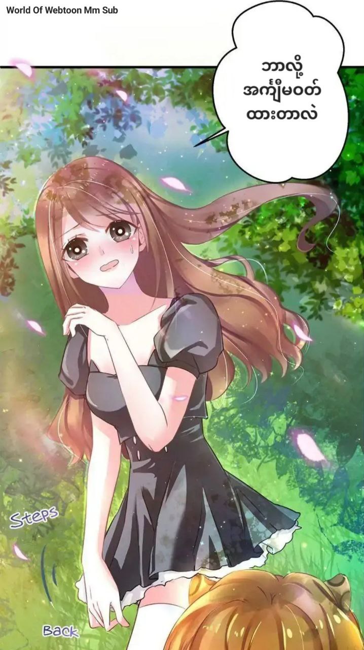 Content Image