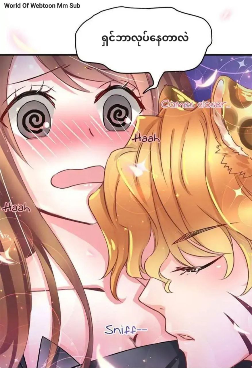 Content Image