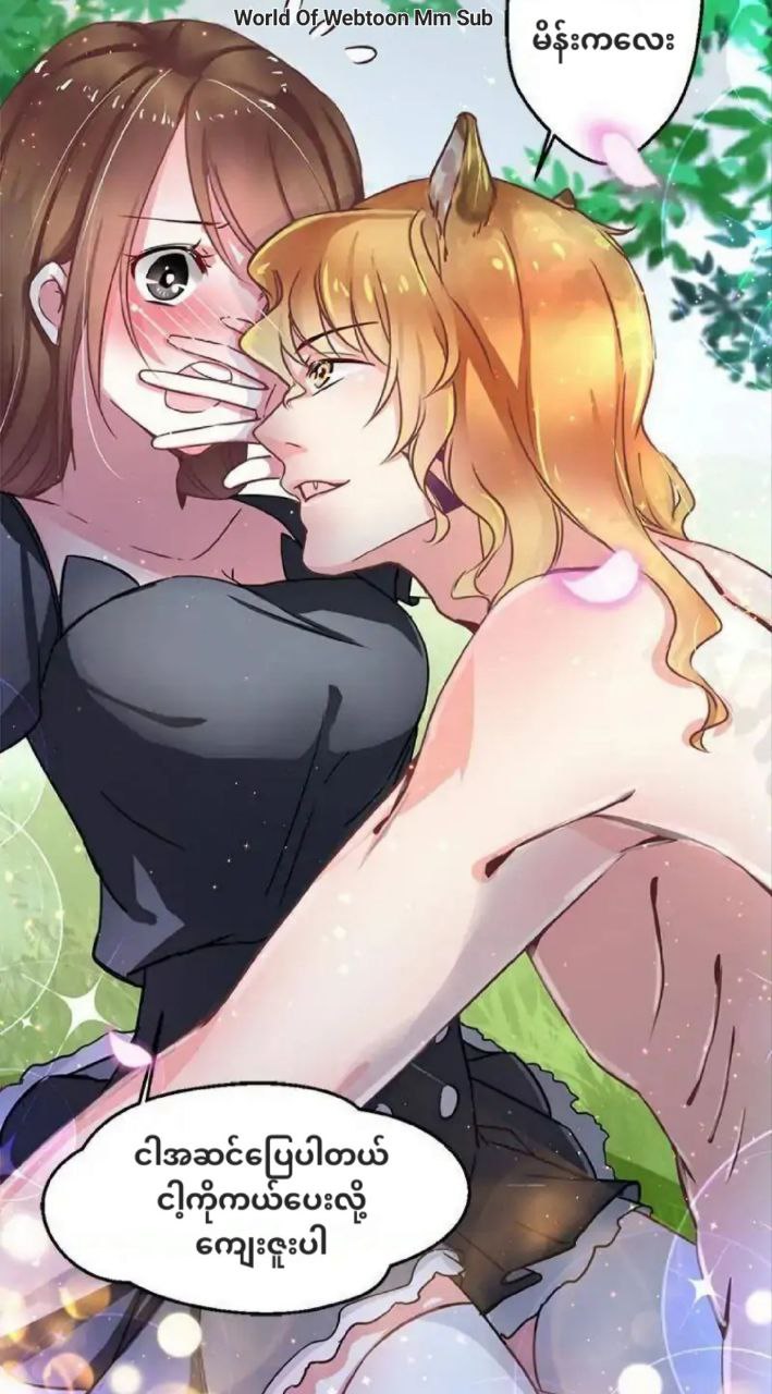 Content Image