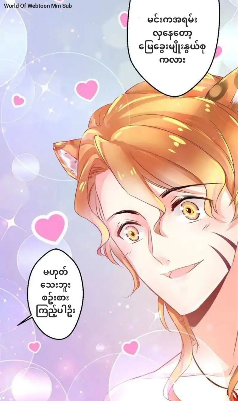 Content Image