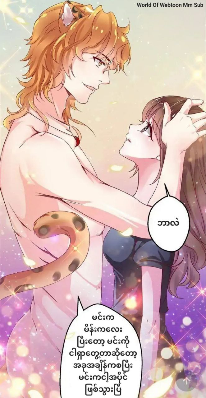 Content Image