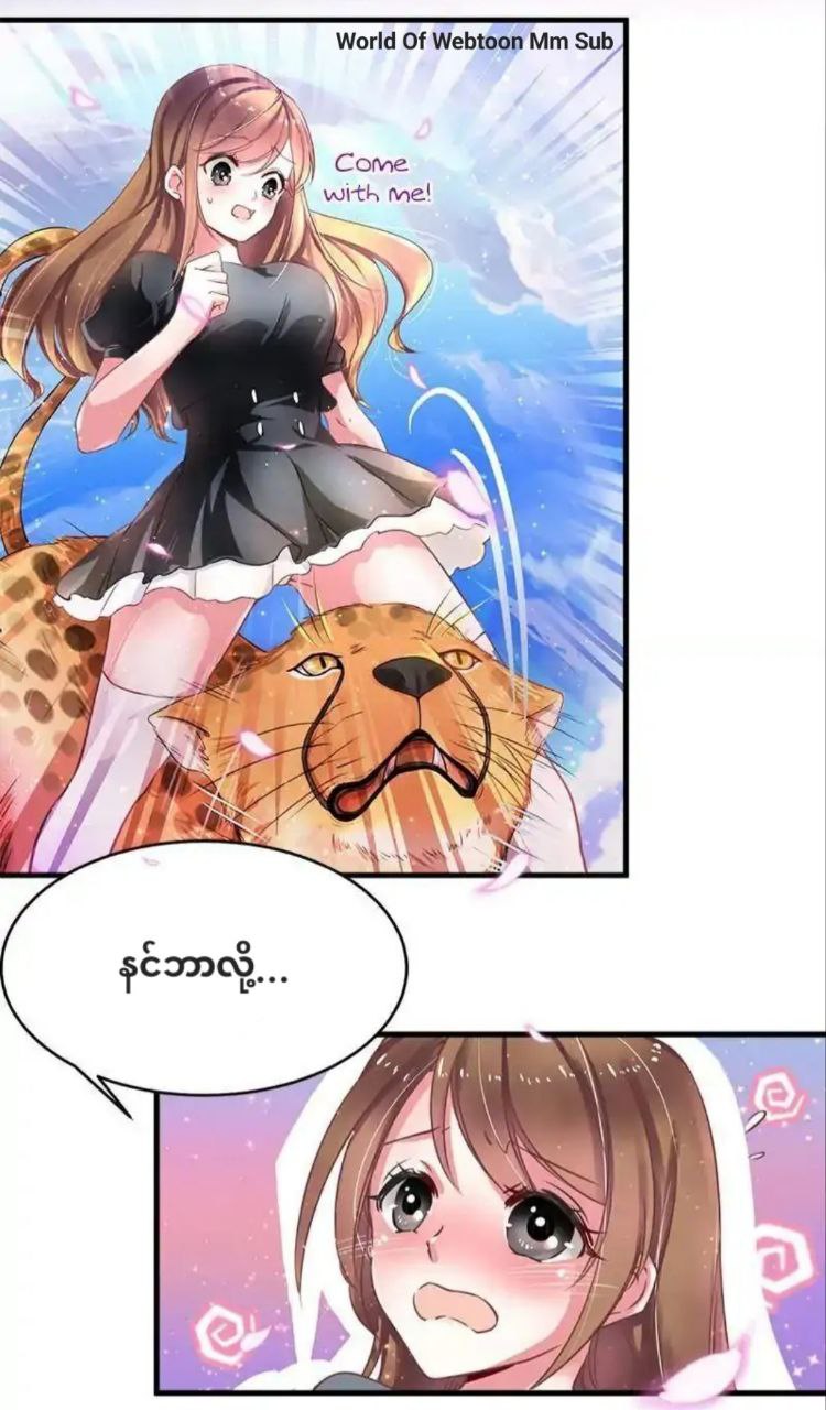Content Image