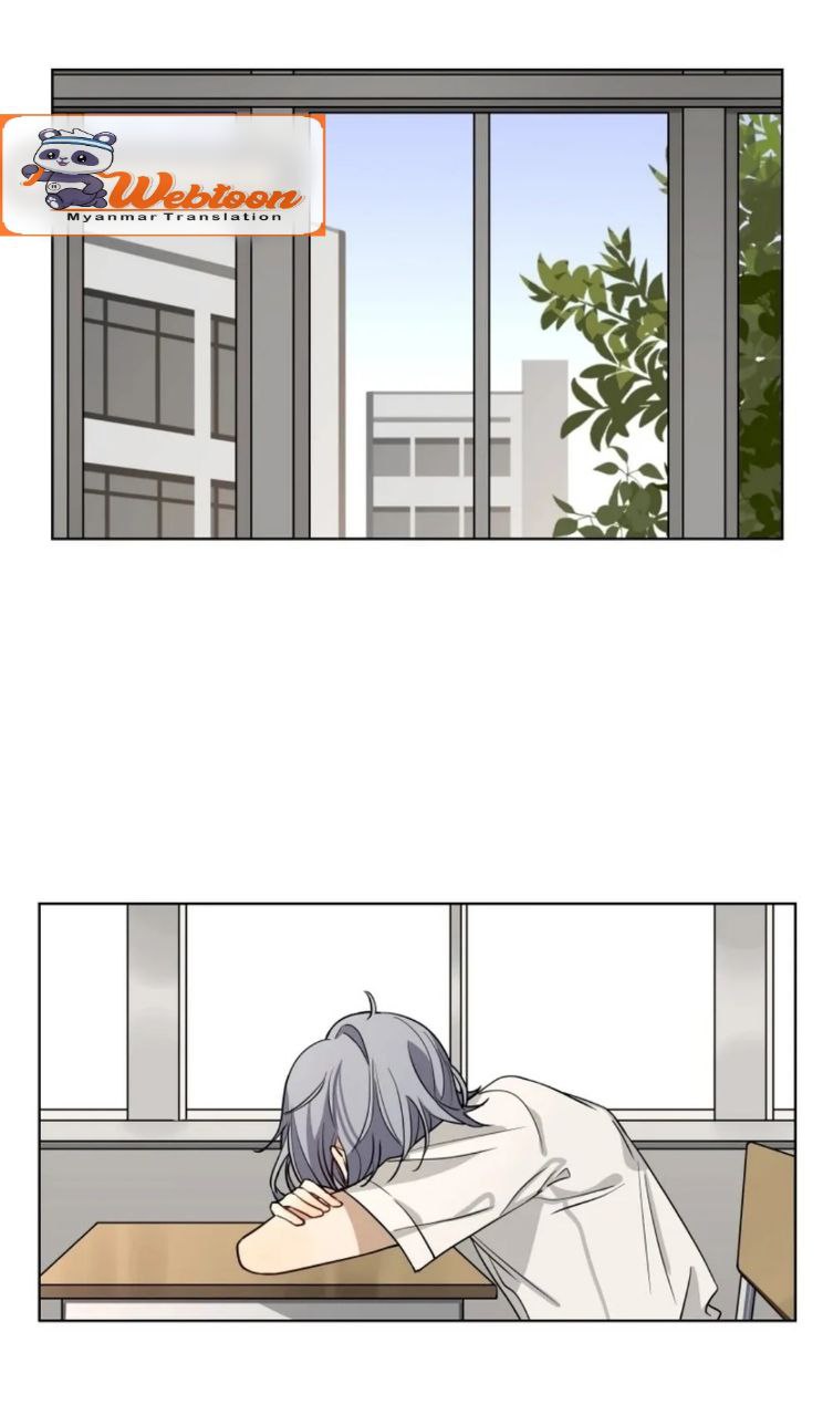 Content Image