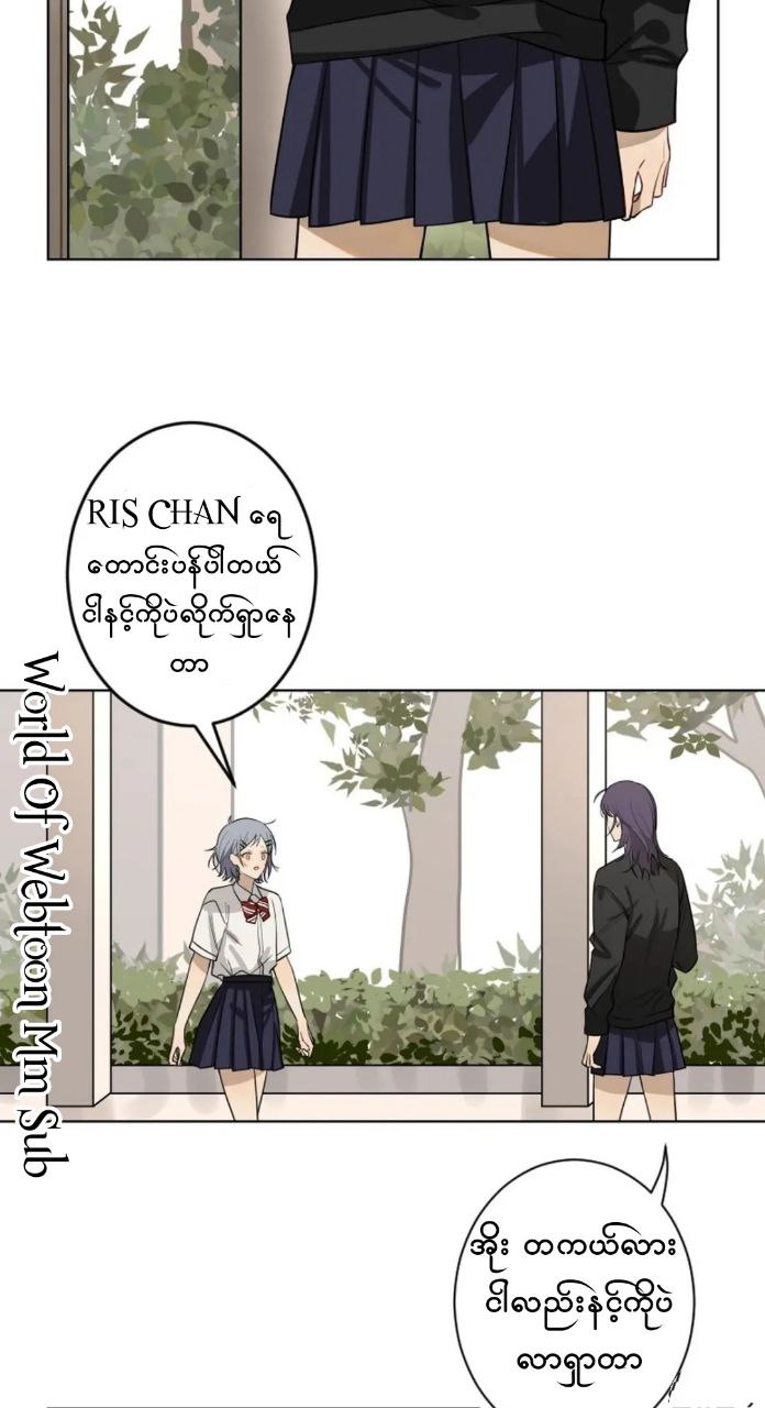 Content Image