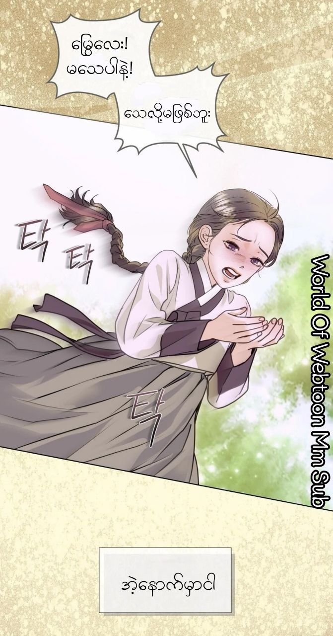 Content Image
