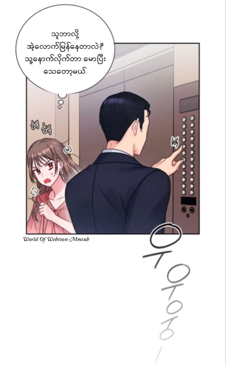 Content Image