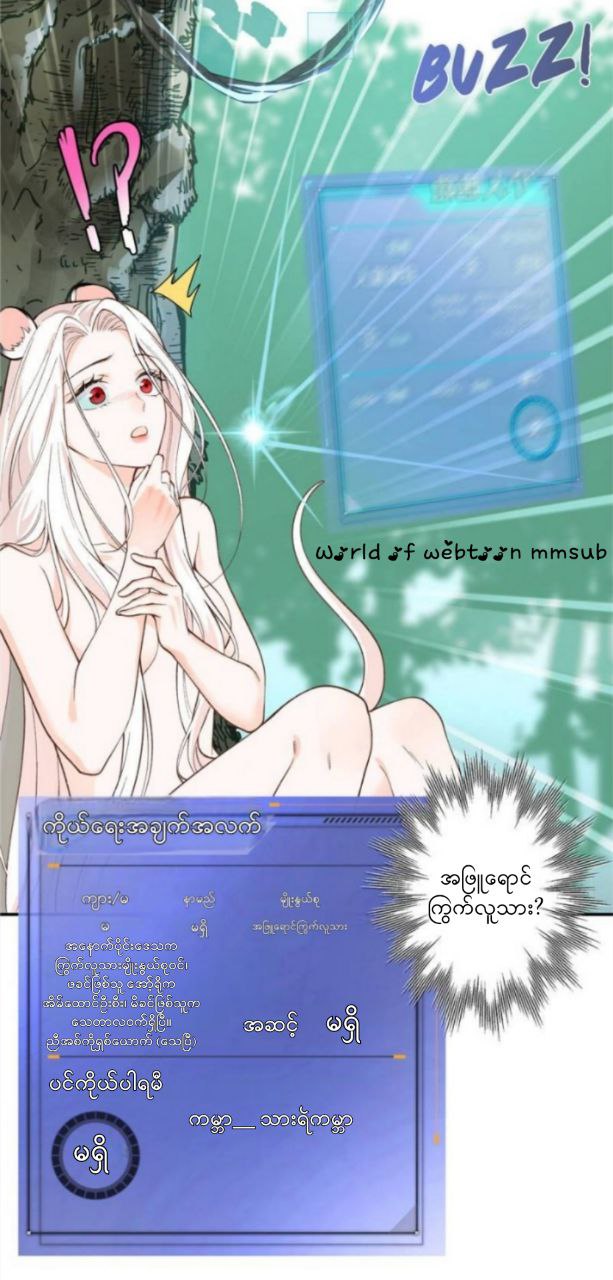 Content Image